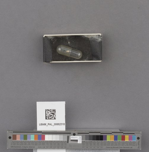 NSF ADBC EPICC TCN