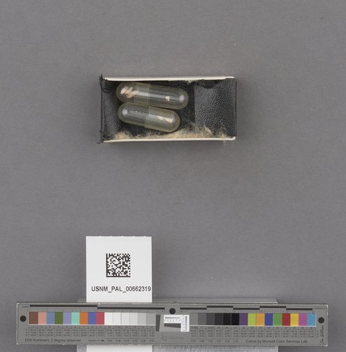 NSF ADBC EPICC TCN
