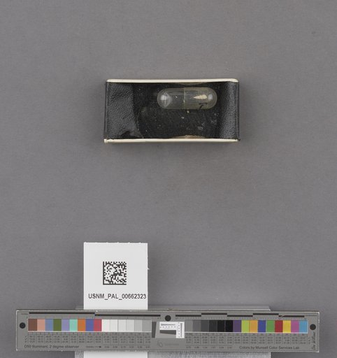 NSF ADBC EPICC TCN