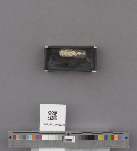 NSF ADBC EPICC TCN