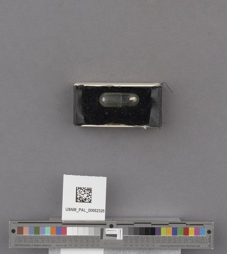 NSF ADBC EPICC TCN