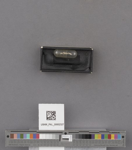NSF ADBC EPICC TCN