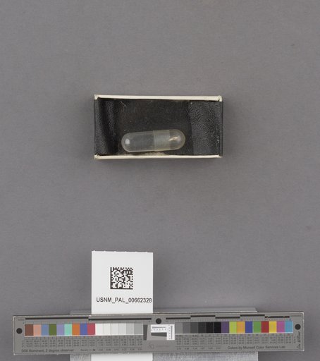 NSF ADBC EPICC TCN