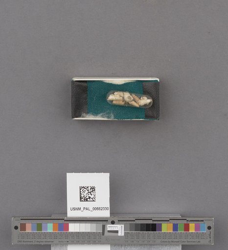 NSF ADBC EPICC TCN