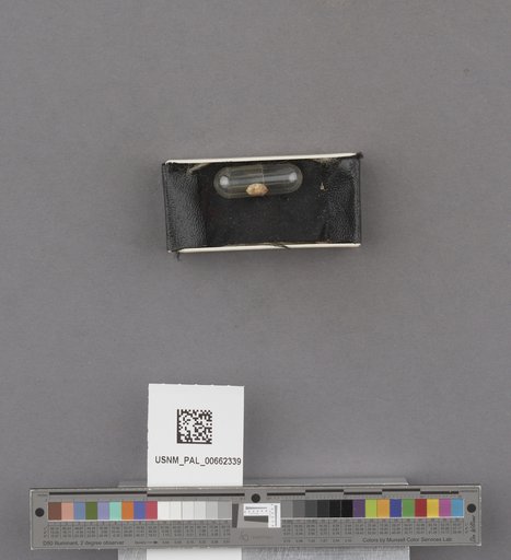 NSF ADBC EPICC TCN