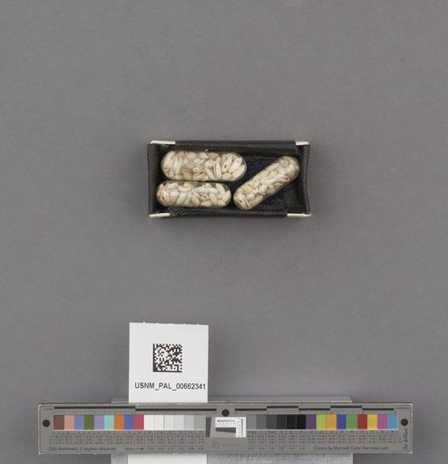 NSF ADBC EPICC TCN