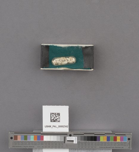 NSF ADBC EPICC TCN