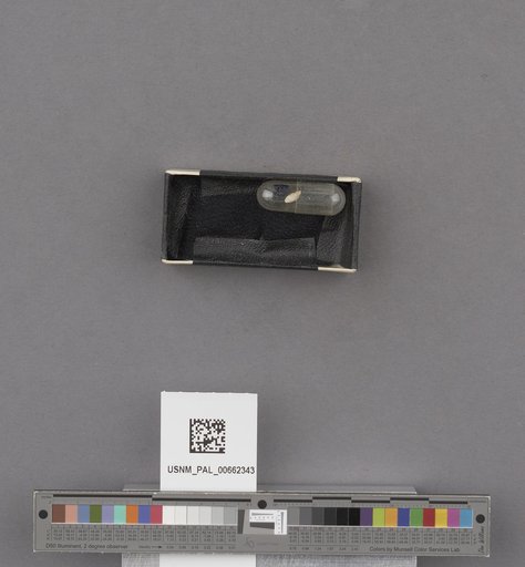 NSF ADBC EPICC TCN