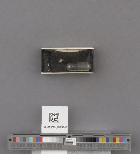 NSF ADBC EPICC TCN
