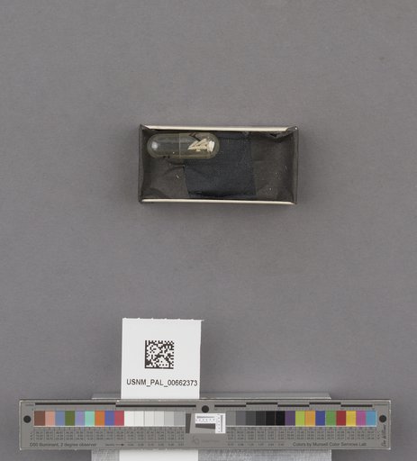 NSF ADBC EPICC TCN