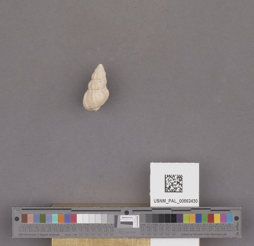 NSF ADBC EPICC TCN