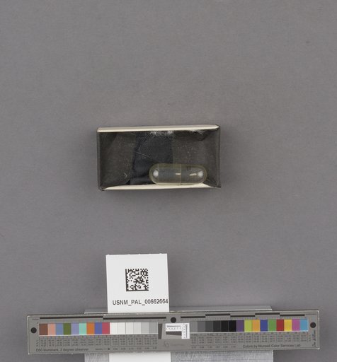 NSF ADBC EPICC TCN