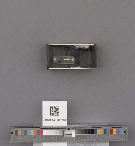 NSF ADBC EPICC TCN