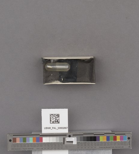 NSF ADBC EPICC TCN