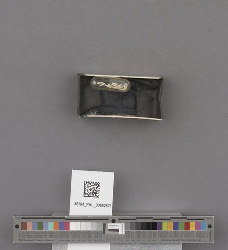 NSF ADBC EPICC TCN