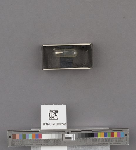 NSF ADBC EPICC TCN