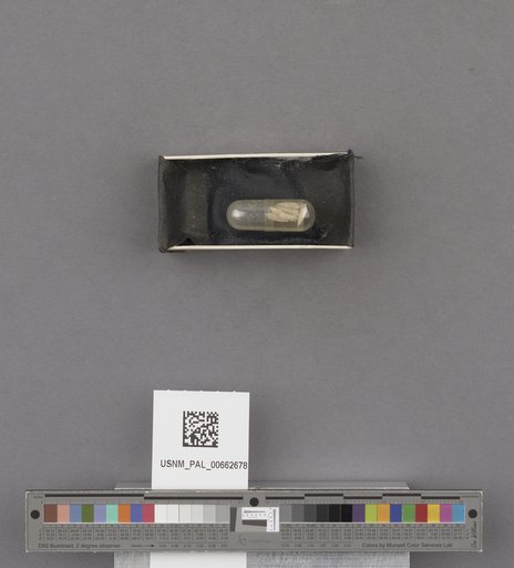 NSF ADBC EPICC TCN