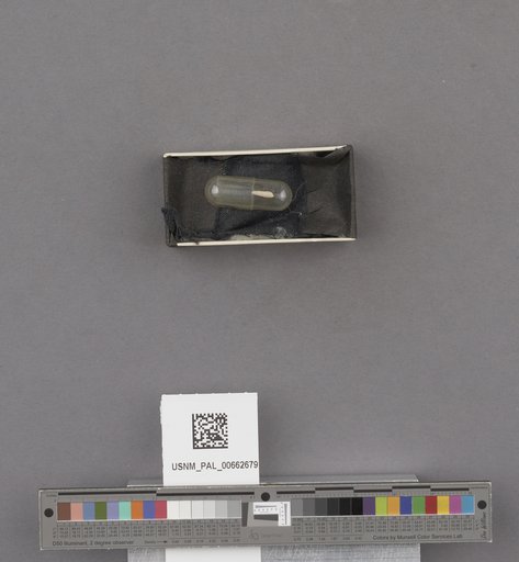 NSF ADBC EPICC TCN
