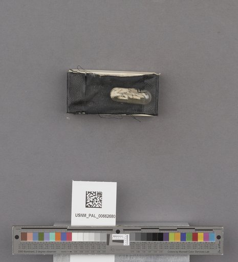 NSF ADBC EPICC TCN