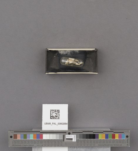 NSF ADBC EPICC TCN