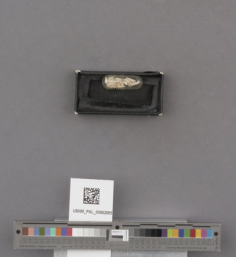 NSF ADBC EPICC TCN