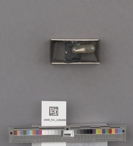 NSF ADBC EPICC TCN