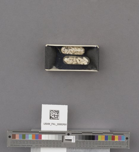 NSF ADBC EPICC TCN