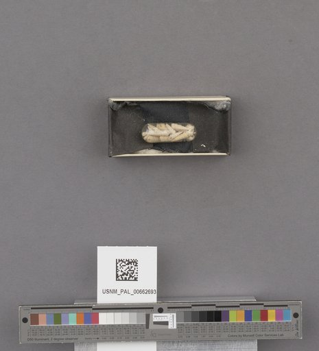 NSF ADBC EPICC TCN