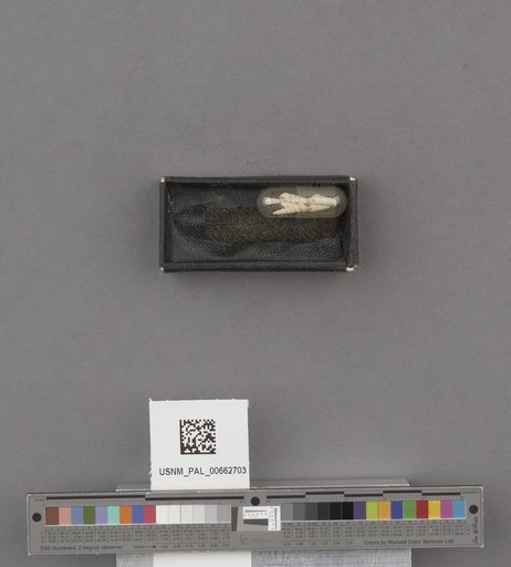 NSF ADBC EPICC TCN