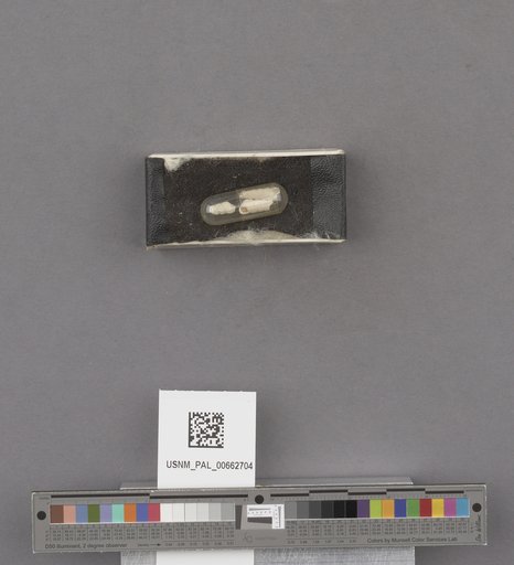 NSF ADBC EPICC TCN