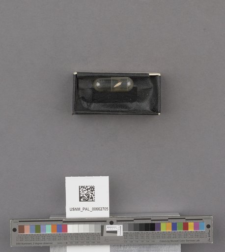 NSF ADBC EPICC TCN
