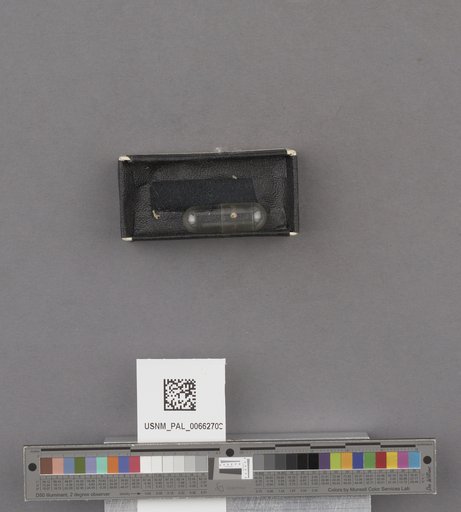 NSF ADBC EPICC TCN
