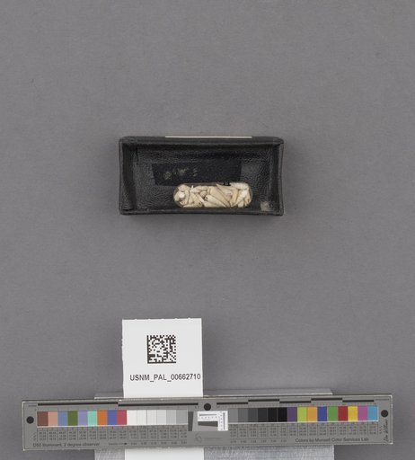 NSF ADBC EPICC TCN