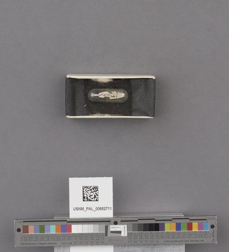 NSF ADBC EPICC TCN