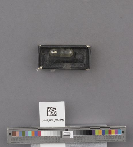 NSF ADBC EPICC TCN