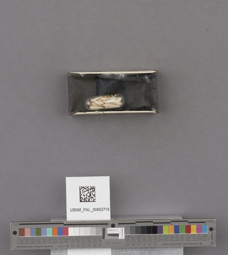 NSF ADBC EPICC TCN