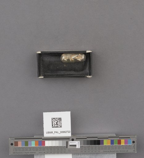 NSF ADBC EPICC TCN
