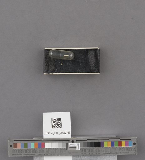 NSF ADBC EPICC TCN