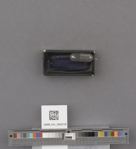 NSF ADBC EPICC TCN