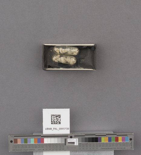 NSF ADBC EPICC TCN