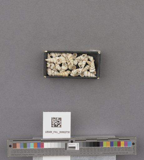 NSF ADBC EPICC TCN