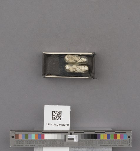 NSF ADBC EPICC TCN