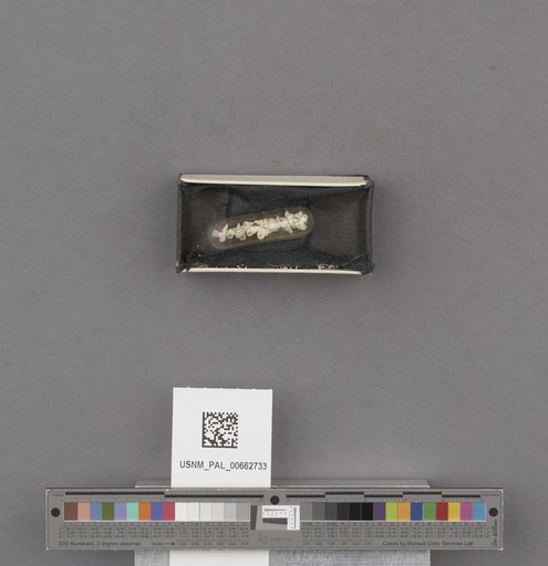 NSF ADBC EPICC TCN