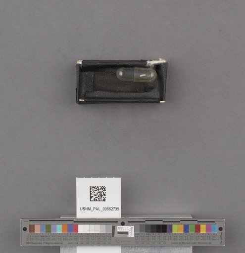 NSF ADBC EPICC TCN