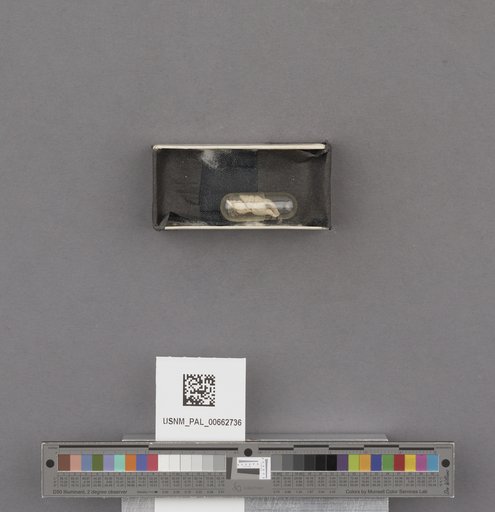 NSF ADBC EPICC TCN