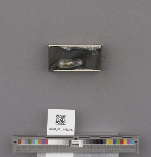 NSF ADBC EPICC TCN