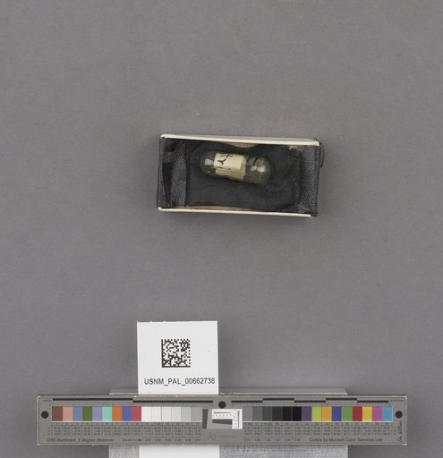 NSF ADBC EPICC TCN