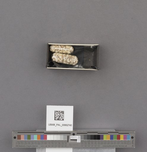 NSF ADBC EPICC TCN