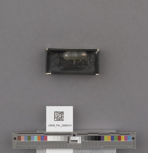 NSF ADBC EPICC TCN