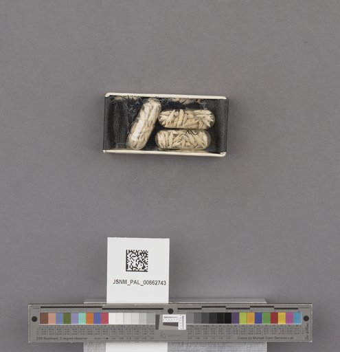 NSF ADBC EPICC TCN